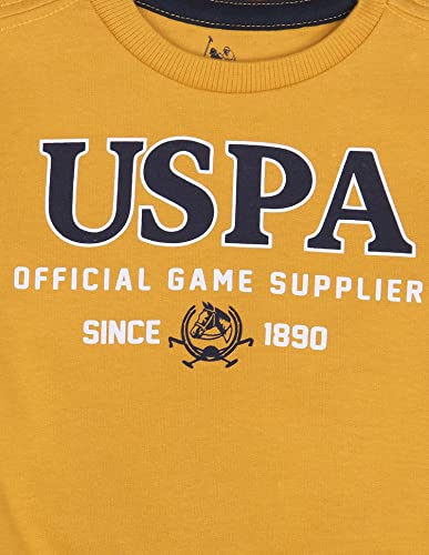 Image of U.S. Polo Assn. Kids Regular fit Cotton Crew Neck Sweatshirts