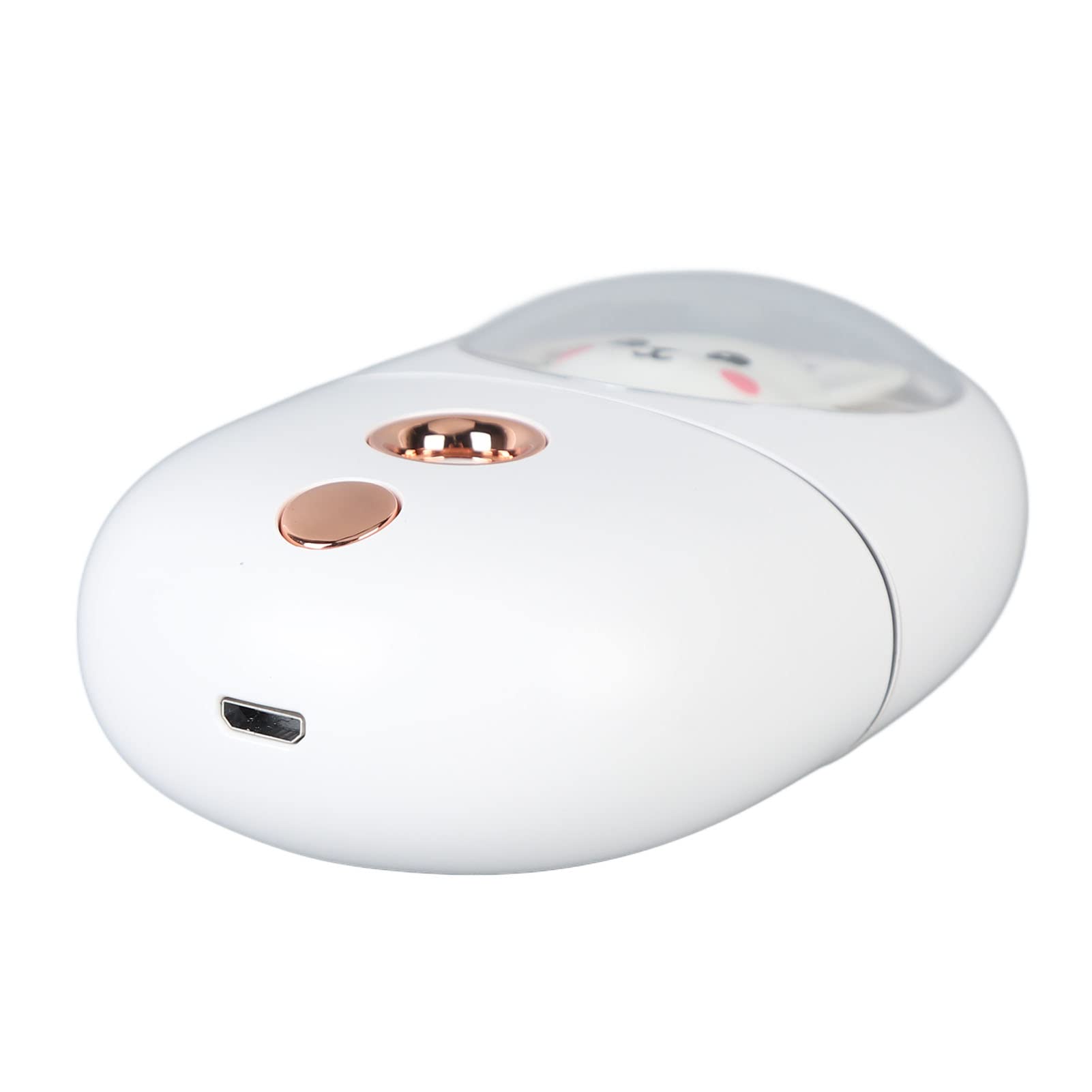 Haofy Pulv¨¦risateur de Brume Faciale, Humidificateur de Brume de Visage d'animal Mignon Pratique Rechargeable par USB pour Le Voyage 35 ML (Blanc)
