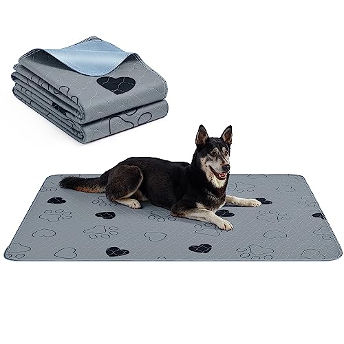 Feandrea Tappeti Lavabili per Cani, Tappeti Assorbenti Riutilizzabili, Set di 2, 152 x 122 cm, Taglia XXL, a Prova di Perdite, Lavabili, Antiscivolo, Alta Assorbenza, Grigio PTD048G01