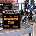 Yuasa YUAM716GH GYZ16H Factory Activated GYZ H Series AGM Battery