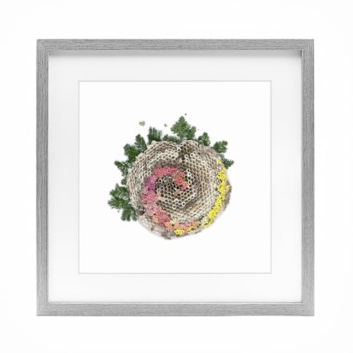 Affiche nid d'abeille Stupell Industries cadre verre 40,6 cm