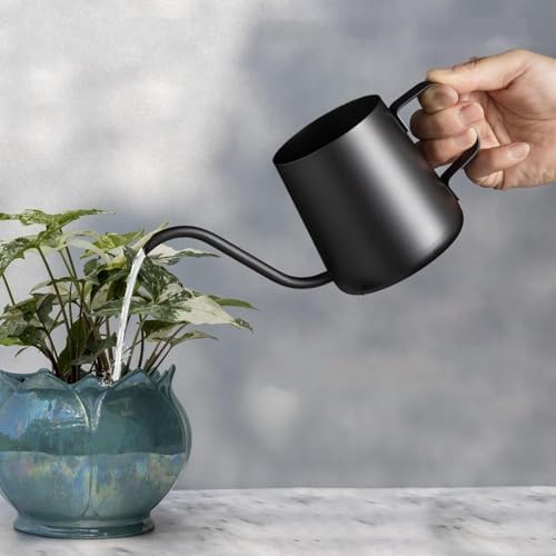 Regador de metal para plantas de interior - Regador pequeno e ele...