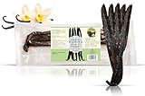 24–27 cm • Nillaa Mexiko-Typ XXXL Vanilleschoten • 5 Stück • Grade A+ • Exotische Rarität • Charaktervolles Aroma • 100% Naturprodukt aus Madagaskar