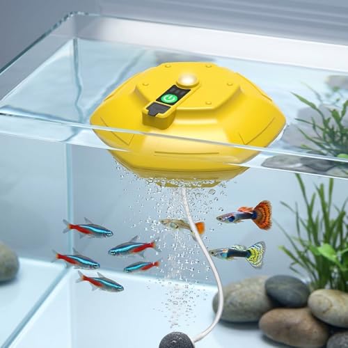 Disque flottant portable pour seau pour garder vos vifs vivants pendant la pêche en bateau