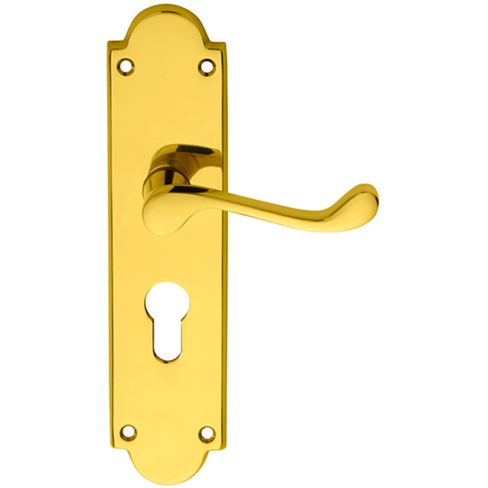 Loops Polished Brass Pair Victorian Scroll Lever On Euro Lock Backplate - 205 X 49Mm - | Traditional Lever On Backplate Door Handle - Internal Door Hardware - Lock, Euro, Oval And Latch Options Available