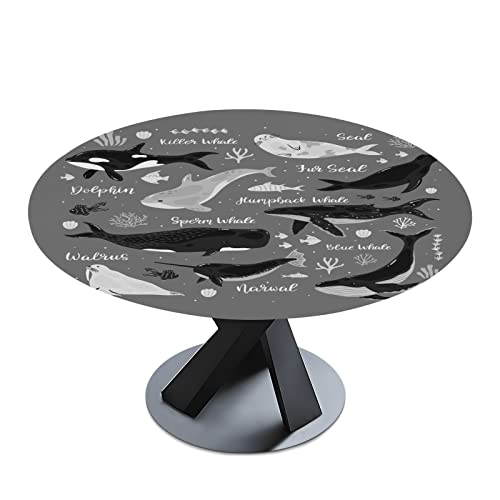 Marine Dolphin Killer Whale Narwhal Walrus Ocean Undersea Water Round Tablecloth with Elastic Edge, Washable Waterproof Table Cover Desk Cloth for Dining Indoor & Outdoor 40