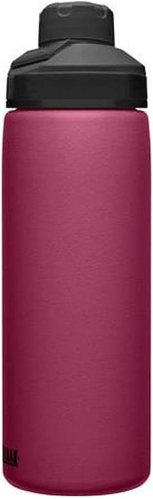 Chute Mag Vacuum Insulated Stainless Steel Water Bottle - 20oz, Plum