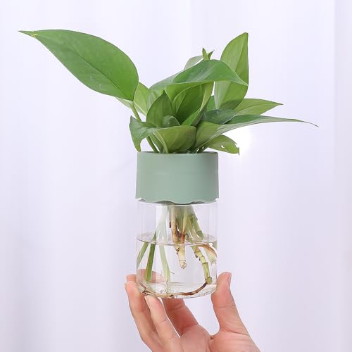1 mini vaso hidropônico transparente autoirrigável sem solo para ...