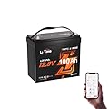 LiTime 12V 100Ah MINI Bluetooth LiFePO4 Lithium Battery 100A BMS Deep Cycle Performance for RV, Travel Trailers, and Trolling Motor (12V 100Ah MINI Bluetooth)