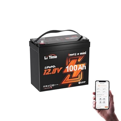 LiTime 12V 100Ah MINI Bluetooth LiFePO4 Lithium Battery 100A BMS Deep Cycle Performance for RV, Travel Trailers, and Trolling Motor (12V 100Ah MINI Bluetooth)
