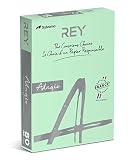 REY® ADAGIO, papier couleur vert, 80g, A4, PEFC™, ramette de 500 feuilles