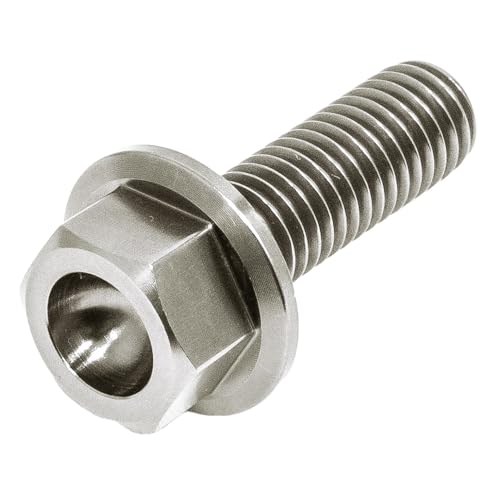 64チタン フランジボルト M8×25 P1.25 全ネジ シルバー チタンボルト フロントキャリパー ニッシン NISSIN カスタム ボルト 自転車