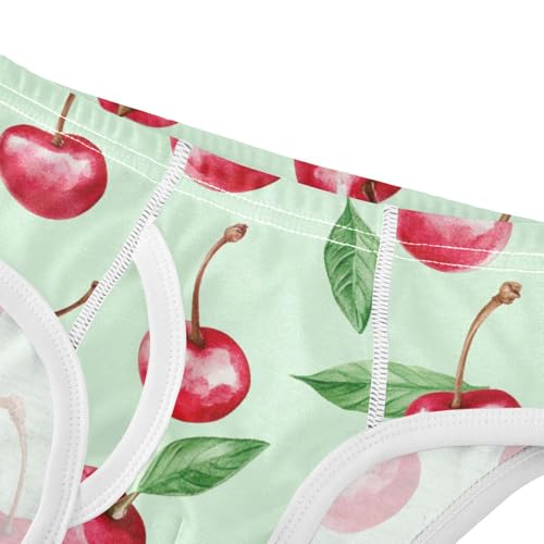 Wusikd Watercolor Cherries Boys' Underwear Cotton Boys Briefs Soft Toddler Underwear 2T4