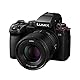 Panasonic LUMIX S5II Full Frame Mirrorless Camera Kit with New Phase Hybrid AF, Active I.S, Unlimited 4:2:2 10-bit recording, 4K 60p and 6K 30p with LUMIX 50mm F1.8 L-Mount lens - DC-S5M2CE
