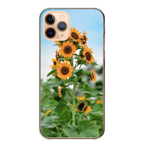 REDMI 15 5G �p �P�[�X ���b�h�~�[ 15 5G �J�o�[ �X�}�z�P�[�X �S�@��Ή� �n�[�h �q�}���� 07