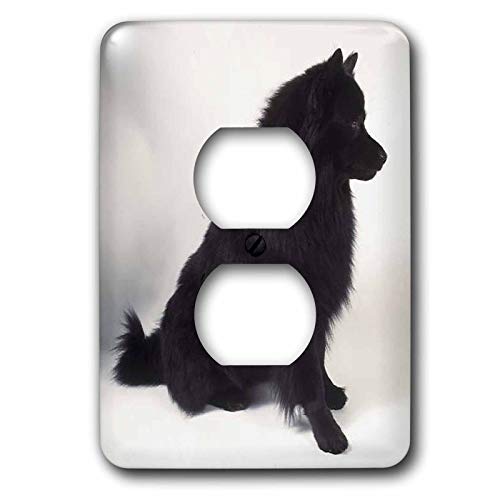 Spitz 2 Bouchon de prise 3dRose lsp_3147_6 pour cacher les fixations usées - 2