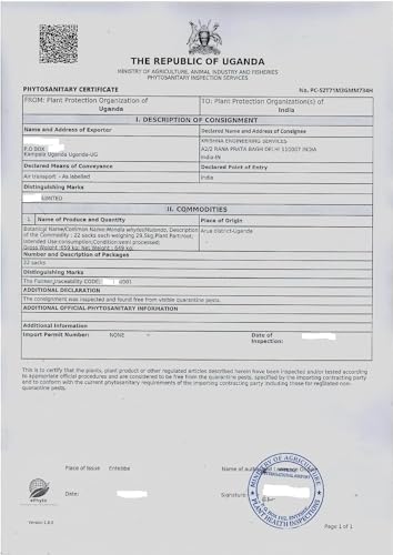 Natural or Nothing | Mulondo Pro | Mukombero | Organic Mondia Whitei Root Powder | Wild Harvest | (100g) (2 month supply) (Pack of 2) (2)