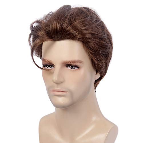 STfantasy Mens Wig Male Guy Short Layered Party Brown Hair Toupee Halloween Fluffy Straight