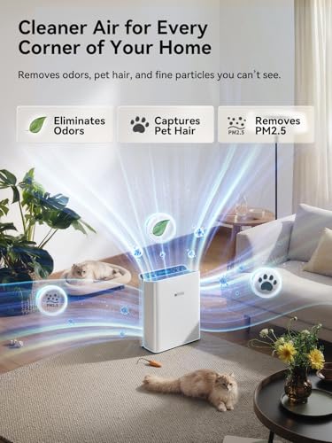 Afloia Europa 2.0 Air Purifier