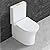 WinZo Small 23 inch One Piece Toilet with 10 inch Rough-in Compact For Compact Short Bathroom,White with Golden Button