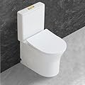 WinZo Small 23 inch One Piece Toilet with 10 inch Rough-in Compact For Compact Short Bathroom,White with Golden Button