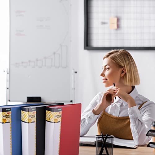 D.RECT Set di 100 Cartelle in Polipropilene | 100