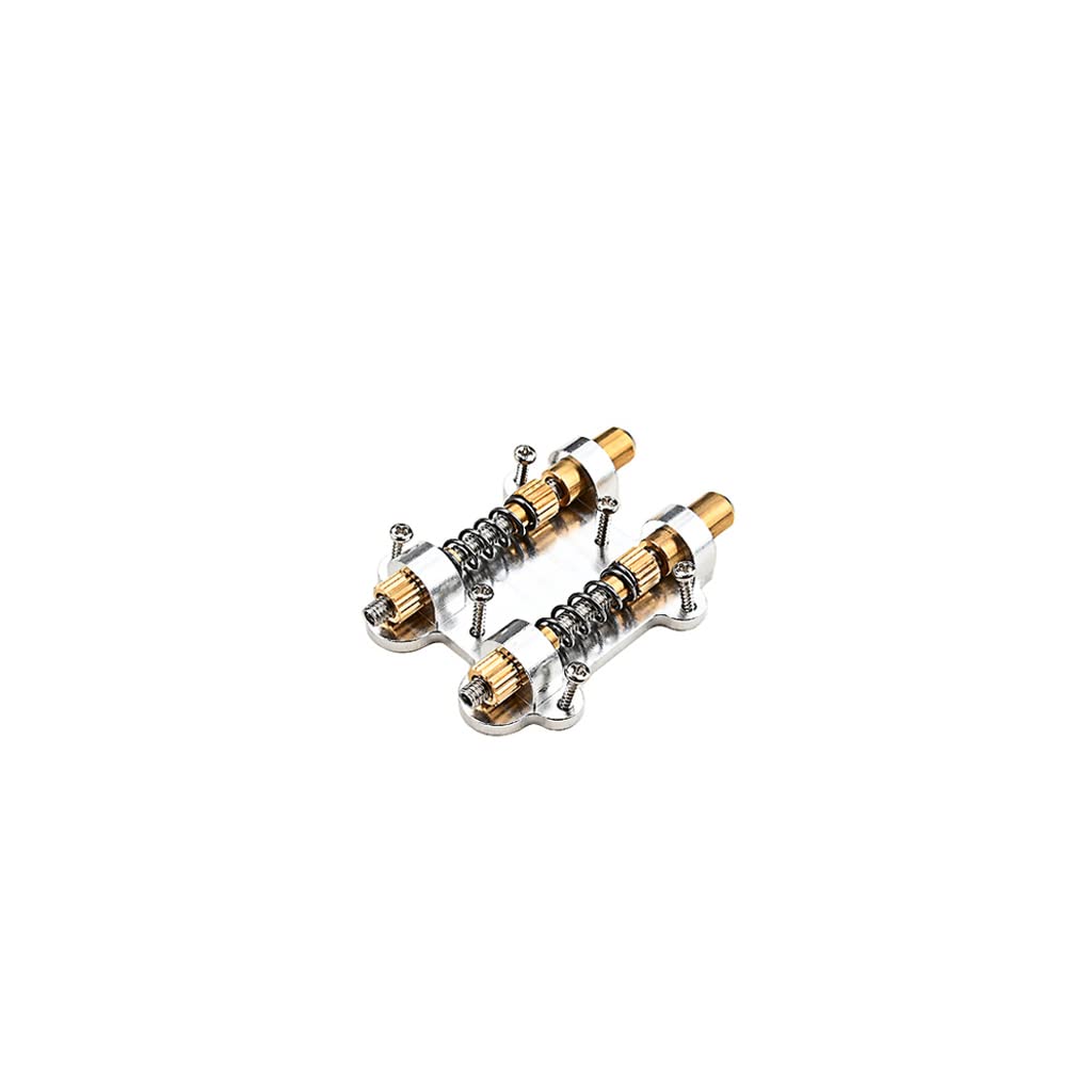 Alnicov Stabilizzatore del ponte del tremolo per chitarra doppio, kit dispositivo di stabilizzazione del tappo del tremolo per chitarra per chitarra elettrica