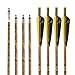 S F Outdoors Carbon Crossbow Arrows 12-Pack, Carbon Crossbow Bolts for Hunting and Target Practice