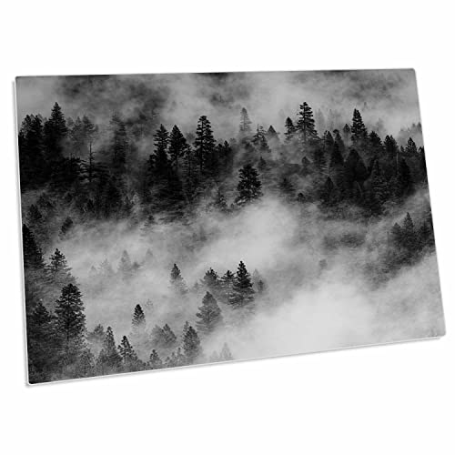 3dRose USA, California. Yosemite NP. Pine Forests Desk Pad