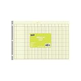 Staples 217893 Columnar Pads 13 Columns 11-Inch x 16 5/16-Inch Each