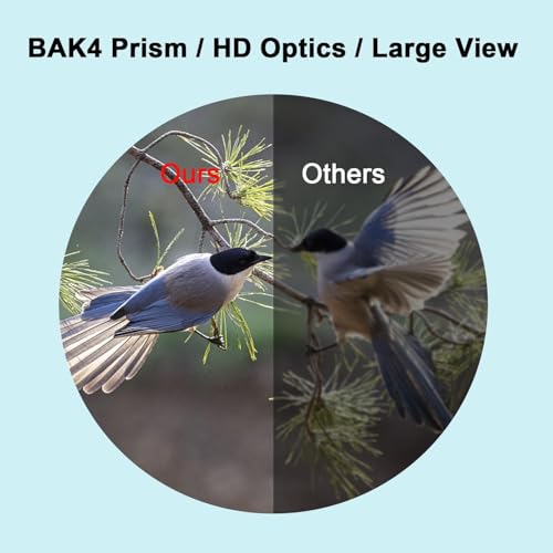 20x50 Binoculars for Adults High Powered with Phone Adapter, Large View Binoculars with Clear Low Light Vision, Binoculars for Bird Watching Hiking Travel