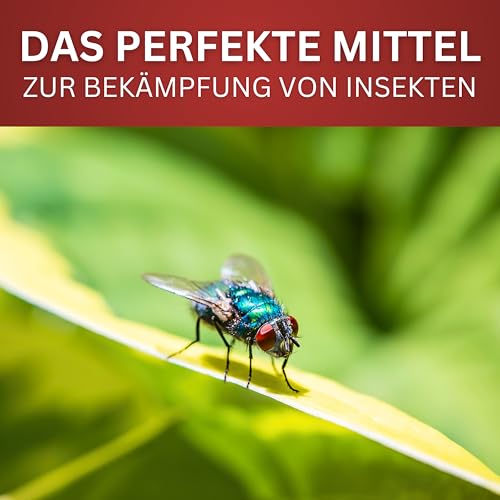BIOFORMEL LTK-008 Insektenspray für fliegende & kriechende Insekten bekämpfen - Insektenmittel - Anti-Insekten-Spray mit Sofortwirkung - Insektenschutz Spray mit Langzeitschutz (500 ml)