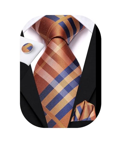 Hi-Tie Mens Paisley Tie Handkerchief and Cufflinks Silk Necktie For Men