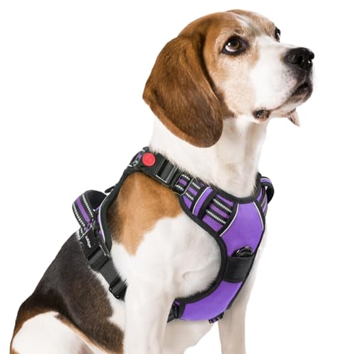 rabbitgoo Dog Harness Medium Sized, No Pull Easy On & Off with 3 Buckles Pet Harness, Adjustable Soft Walking Vest with 2 Clips and Handle, Reflective for Medium Dogs, Purple, M