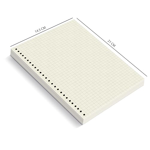 Image of PaperO A5 Punched Loose Leaf Square Grid Sheet /Grid Paper | 80 GSM | 100 Sheets | A5 (21 x 14.5 cm) | Ideal for Artists & Designers | Suitable for Spiral Binding