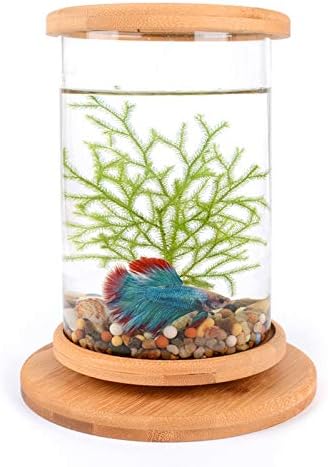 mini fish tank decorations