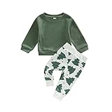Sasaerucure Infant Toddler Baby Boy Christmas Outfits Long Sleeve Shirts Red Sweatshirt Santa Pants 2Pcs Fall Winter Clothes Set (D-Green, 0-6 Months)