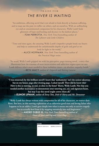 Image of The River Is Waiting (Oprah's Book Club): A Novel
