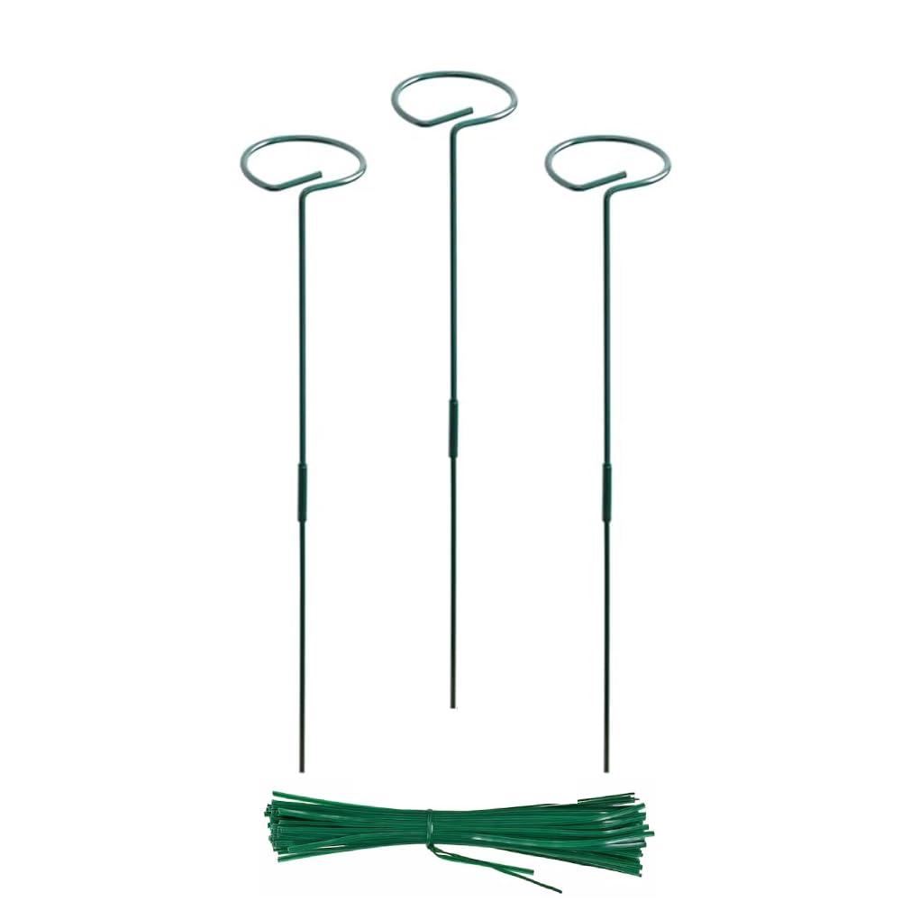EXALT® 32 Inches (16 inch Main Stake + 16 inch Supporting Stake, DIY) Premium Plant Support Stakes, Sturdy Metal Construction for Strong and Healthy Plant Growth (Pack of 3) (B0DBZTPQD4) Amazon Price History, Amazon Price Tracker