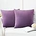 FORTRY 2er Set Pack Samt Soft Solid Kissenbezug 40x40cm Kissenhülle Dekorative Quadrat Wurf Kissenbezug Dekokissen Sofa Schlafzimmer Sofakissen Wurfkissenbezug samtkissen Violett