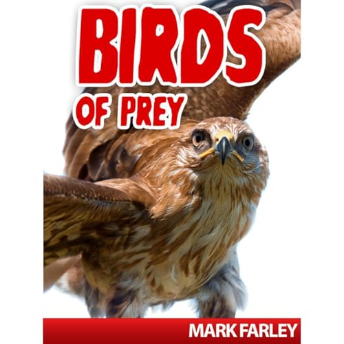 Mark Farley presents Birds Of Prey! A Children&amp;rsquo;s eBook About the Kings of the Airborne Animal Kingdom with Videos episode artwork