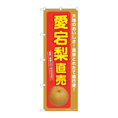 y2Zbgẑڂ艮H[ ̂ڂ 131583  W600×H1800mm OO ̑ ɐ 󒍐Yi