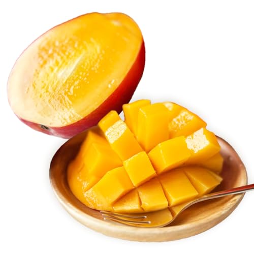 [先行受付][2026年発送]光マンゴー園の家庭用アップルマンゴー約2kg(4〜6玉)白箱