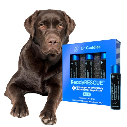 Image of Activated Charcoal microspheres for Dogs and Cats - Veterinary-Grade Pet First Aid Kit Essential - Fast Acting Emergency Poison Binder - Safe and Travel Ready - 30 g Pack of 3