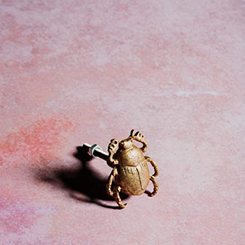 Image of Sass & Belle Gold Scarab Beetle Drawer Knob
