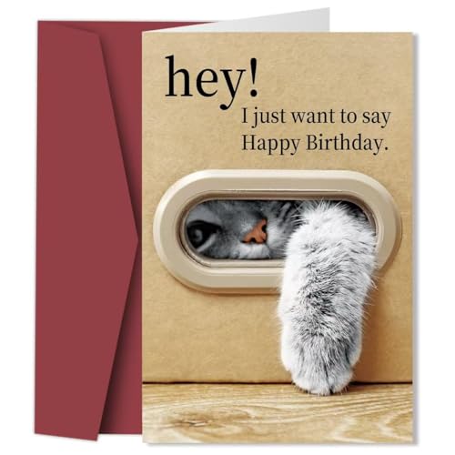 1pc Unique Cat Birthday Card, Best Gift For Family And Friends, Happy Birthday Card With Envelope, Unusual Things, Cute Aesthetic Items