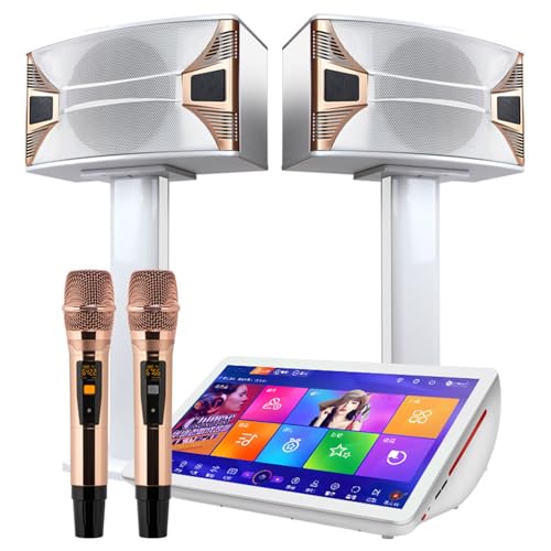 UWYTGF 19.5 Inch Professional Karaoke Set, 4K Capacitive Touch Screen KTV Karaoke Machine with Wireless Microphone&10 Inch Speaker, 2T High-Speed Hard Drive, 27 Languages