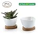 T4U Small White Succulent Planter Pots with Bamboo Tray Traiangle Set of 2, Geometric Cactus Plant Holder Container for Home Office Table Desk Decoration Gift for Mom Aunt Sister Daughter Gardener