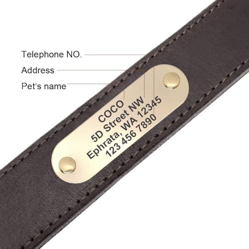Didog Genuine Leather Dog Collar L