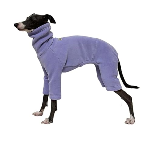 C^O {A t[X p[X Ȃ    ~ hbOEFA H ~ g  ̕ ybgEFA  ɒg h ۉ C^AO[nEh EBybg xhgeA